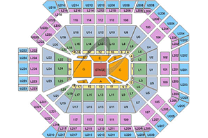 View Las Vegas Venue Seating Charts on Showtimevegas.com